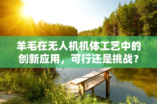 羊毛在无人机机体工艺中的创新应用，可行还是挑战？