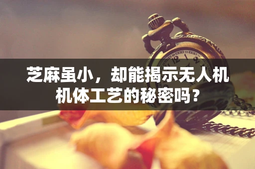 芝麻虽小，却能揭示无人机机体工艺的秘密吗？