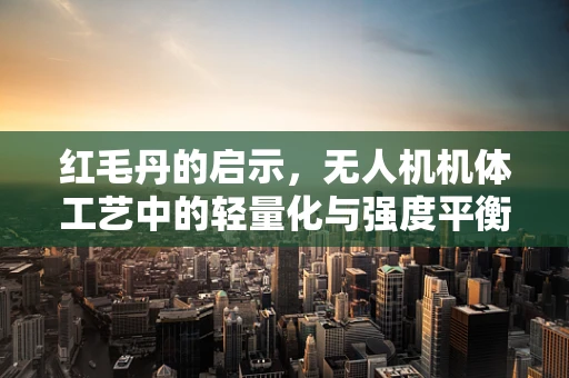 红毛丹的启示，无人机机体工艺中的轻量化与强度平衡挑战