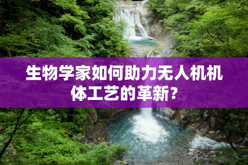 生物学家如何助力无人机机体工艺的革新？