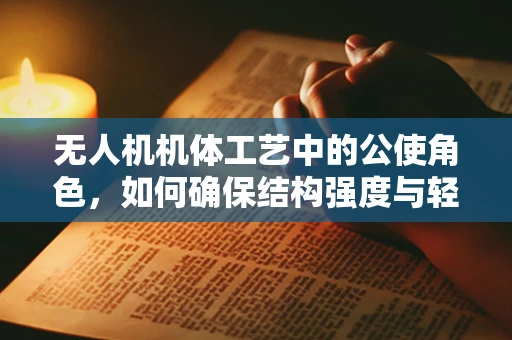 无人机机体工艺中的公使角色，如何确保结构强度与轻量化的完美平衡？