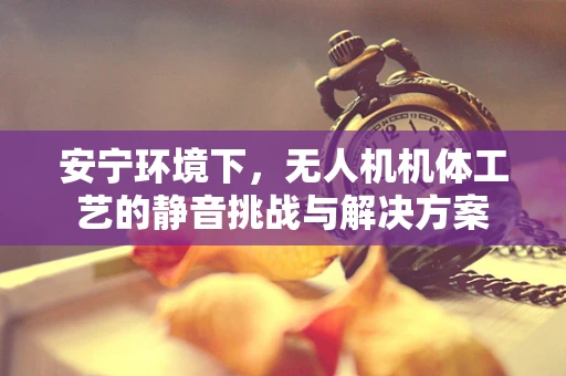 安宁环境下，无人机机体工艺的静音挑战与解决方案
