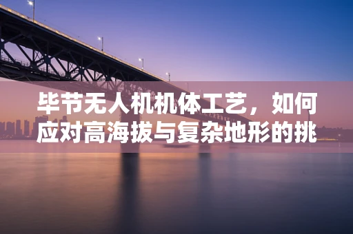 毕节无人机机体工艺，如何应对高海拔与复杂地形的挑战？