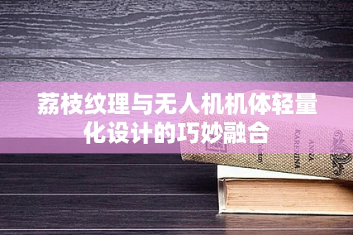 荔枝纹理与无人机机体轻量化设计的巧妙融合