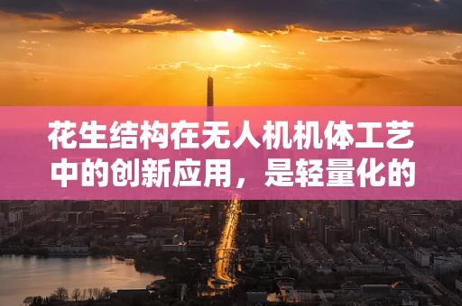 花生结构在无人机机体工艺中的创新应用，是轻量化的新宠还是设计上的陷阱？