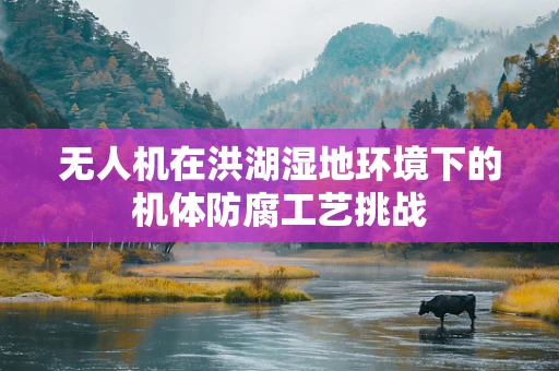 无人机在洪湖湿地环境下的机体防腐工艺挑战