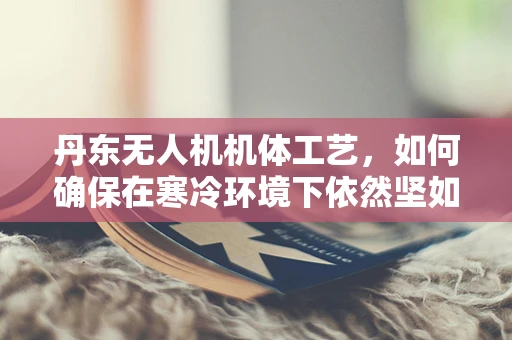 丹东无人机机体工艺，如何确保在寒冷环境下依然坚如磐石？