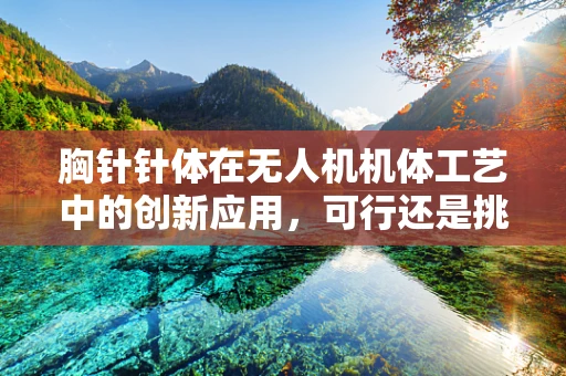 胸针针体在无人机机体工艺中的创新应用，可行还是挑战？