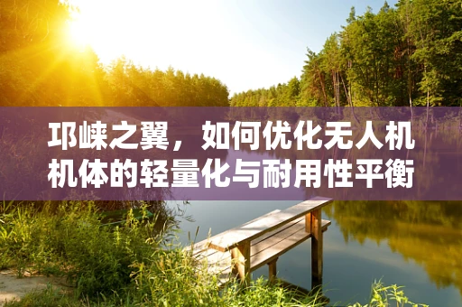 邛崃之翼，如何优化无人机机体的轻量化与耐用性平衡？