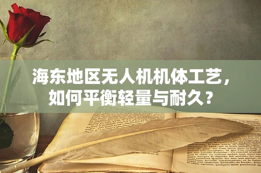海东地区无人机机体工艺，如何平衡轻量与耐久？