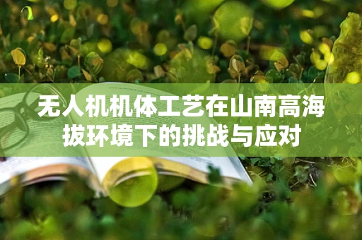 无人机机体工艺在山南高海拔环境下的挑战与应对