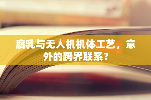 腐乳与无人机机体工艺，意外的跨界联系？