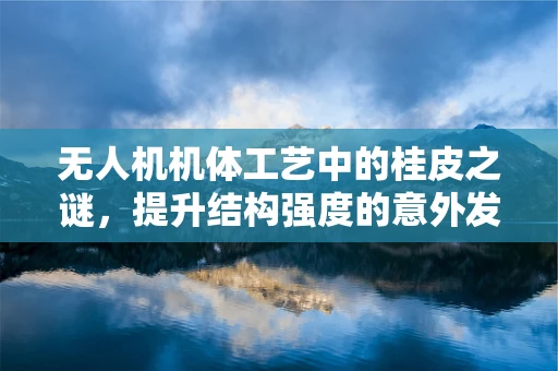 无人机机体工艺中的桂皮之谜，提升结构强度的意外发现？