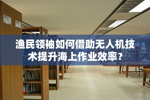 渔民领袖如何借助无人机技术提升海上作业效率？