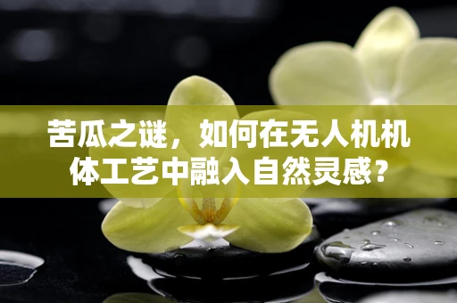 苦瓜之谜，如何在无人机机体工艺中融入自然灵感？