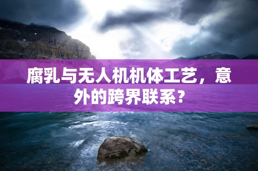 腐乳与无人机机体工艺，意外的跨界联系？