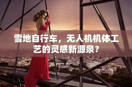 雪地自行车，无人机机体工艺的灵感新源泉？