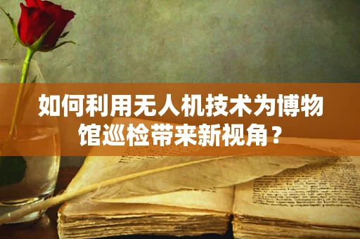 如何利用无人机技术为博物馆巡检带来新视角？