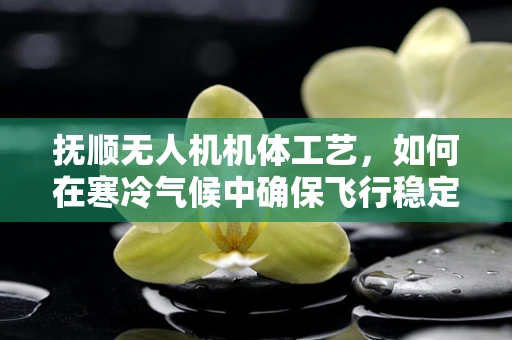 抚顺无人机机体工艺，如何在寒冷气候中确保飞行稳定性？