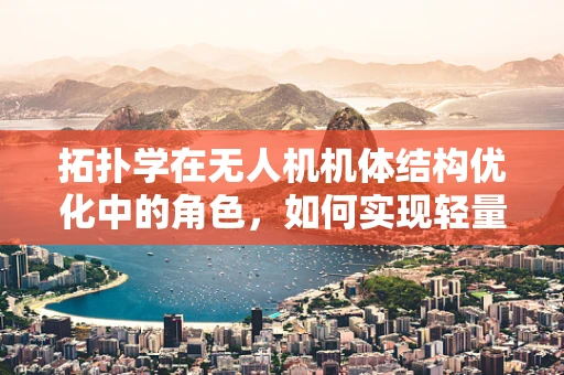 拓扑学在无人机机体结构优化中的角色，如何实现轻量化与强度的完美平衡？