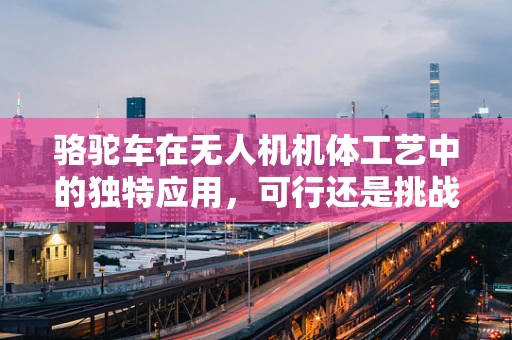 骆驼车在无人机机体工艺中的独特应用，可行还是挑战？