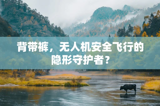 背带裤，无人机安全飞行的隐形守护者？