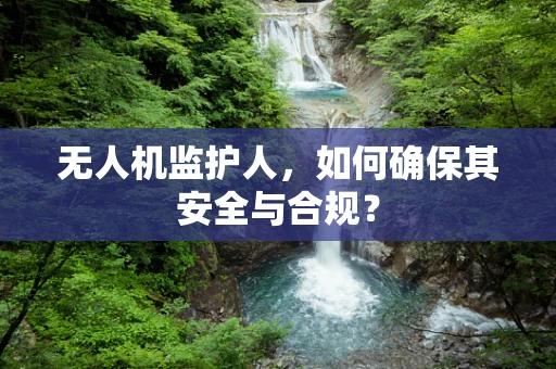 无人机监护人，如何确保其安全与合规？
