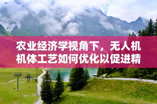 农业经济学视角下，无人机机体工艺如何优化以促进精准农业发展？