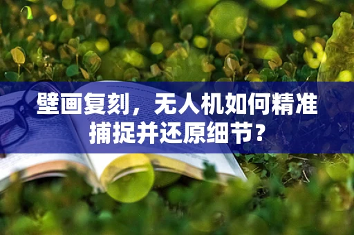 壁画复刻，无人机如何精准捕捉并还原细节？