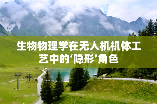 生物物理学在无人机机体工艺中的‘隐形’角色