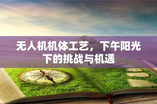 无人机机体工艺，下午阳光下的挑战与机遇