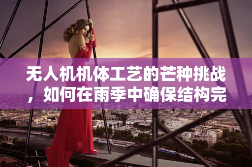 无人机机体工艺的芒种挑战，如何在雨季中确保结构完整性？