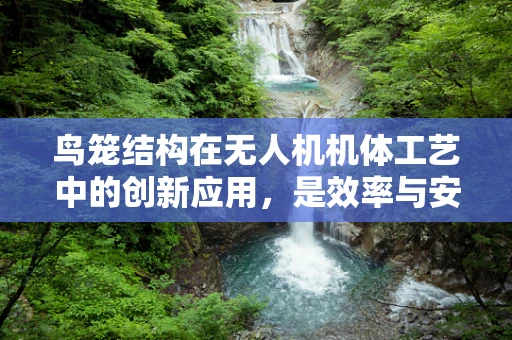 鸟笼结构在无人机机体工艺中的创新应用，是效率与安全的完美平衡？