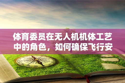 体育委员在无人机机体工艺中的角色，如何确保飞行安全与团队协作的完美结合？