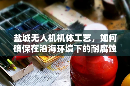 盐城无人机机体工艺，如何确保在沿海环境下的耐腐蚀性？