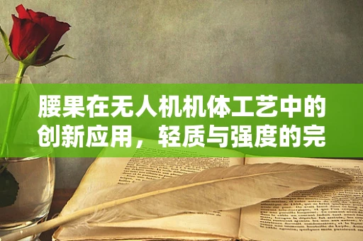 腰果在无人机机体工艺中的创新应用，轻质与强度的完美平衡