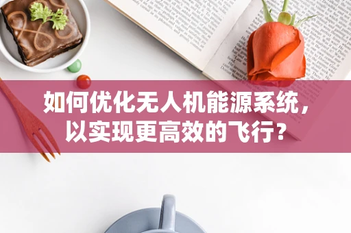如何优化无人机能源系统，以实现更高效的飞行？