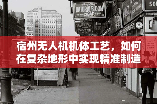 宿州无人机机体工艺，如何在复杂地形中实现精准制造？