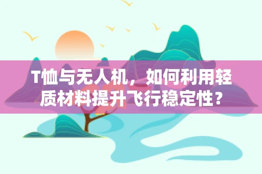 T恤与无人机，如何利用轻质材料提升飞行稳定性？