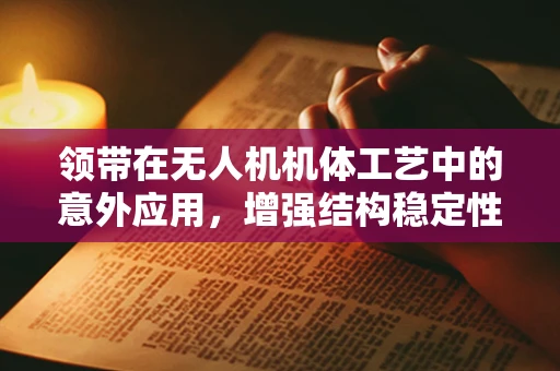领带在无人机机体工艺中的意外应用，增强结构稳定性与安全性的创新设计