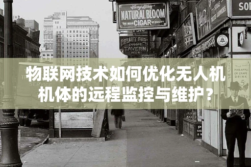 物联网技术如何优化无人机机体的远程监控与维护？