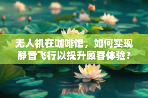 无人机在咖啡馆，如何实现静音飞行以提升顾客体验？