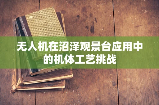 无人机在沼泽观景台应用中的机体工艺挑战