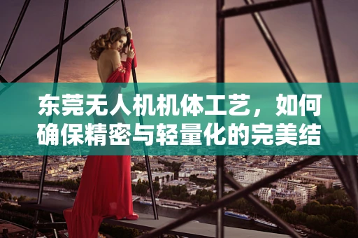 东莞无人机机体工艺，如何确保精密与轻量化的完美结合？