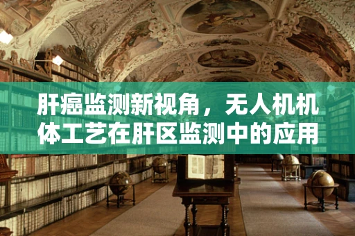 肝癌监测新视角，无人机机体工艺在肝区监测中的应用潜力？