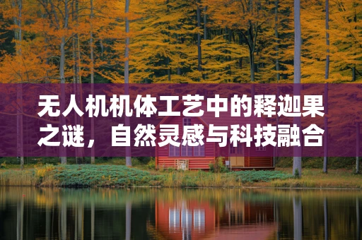 无人机机体工艺中的释迦果之谜，自然灵感与科技融合的探索