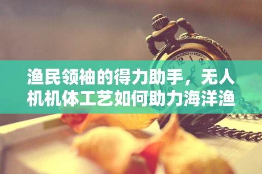 渔民领袖的得力助手，无人机机体工艺如何助力海洋渔业管理？