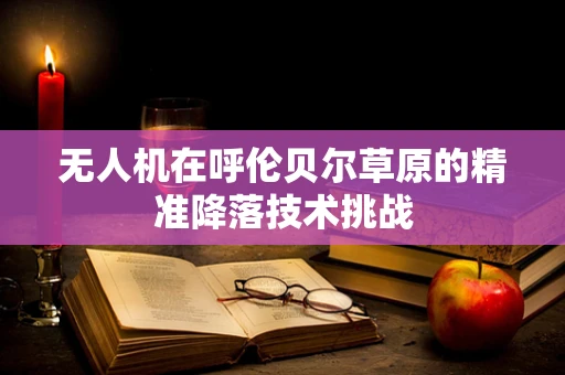 无人机在呼伦贝尔草原的精准降落技术挑战