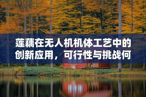 莲藕在无人机机体工艺中的创新应用，可行性与挑战何在？