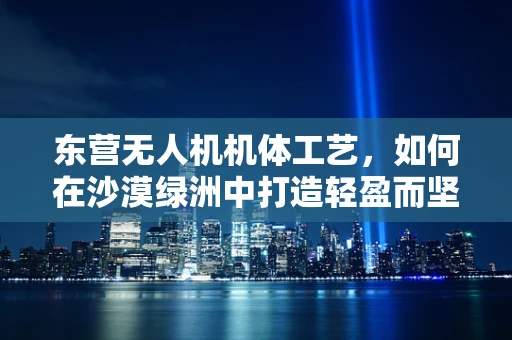 东营无人机机体工艺，如何在沙漠绿洲中打造轻盈而坚固的飞行器？